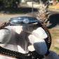 Panerai Radiomir Base Logo